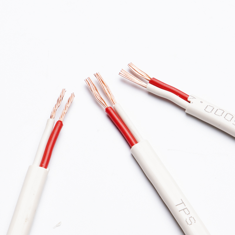 建圳達(dá)saa扁平電線