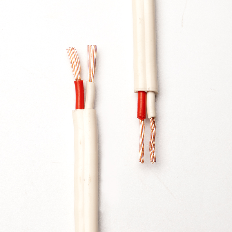 在澳大利亞，電工是如何為運(yùn)輸設(shè)備廠家選擇合適的saa扁平電線？